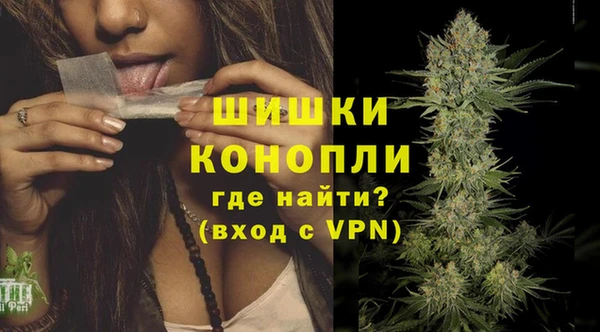 дживик Нефтегорск