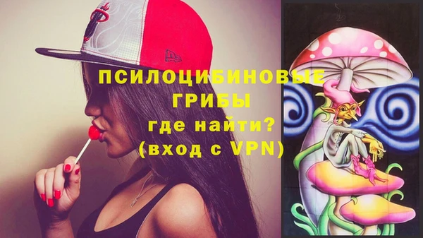 прущая мука Нея