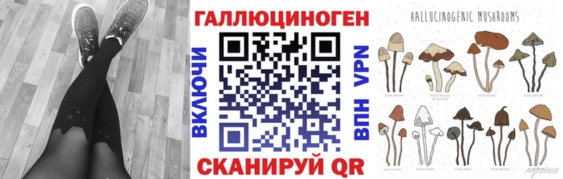 нарко площадка телеграм  купить   Новокубанск  Галлюциногенные грибы Psilocybine cubensis 