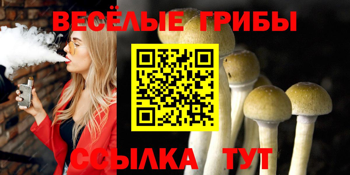Галлюциногенные грибы Cubensis  Вход с VPN  Новокубанск  Псилоцибиновые грибы ЛСД 